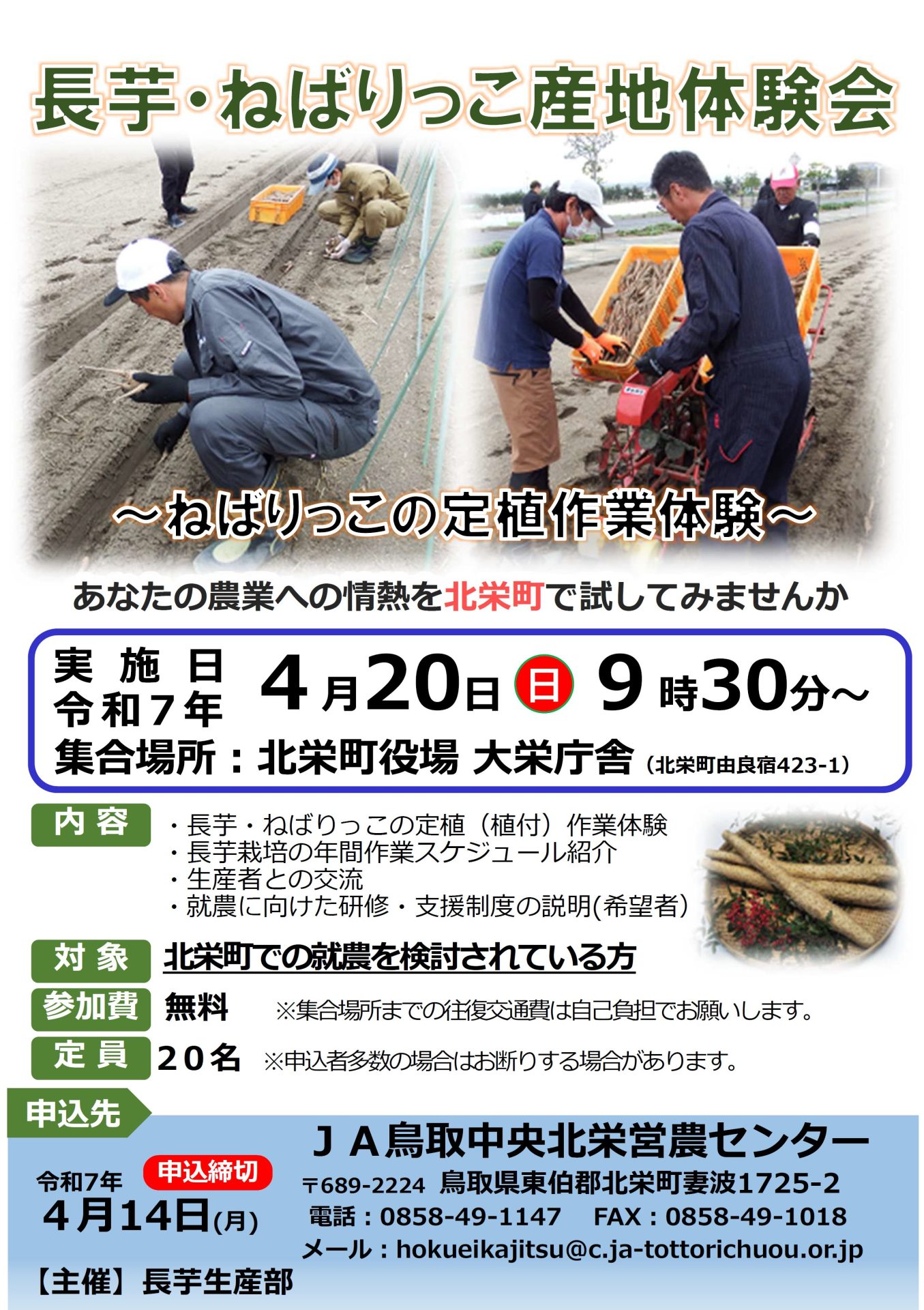 長芋・ねばりっこ産地体験会～定植作業体験～　【Ｒ７年4月20日（日）開催】